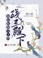 江琉璃北辰齐小说阅读