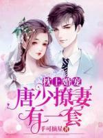 枕上婚宠：唐少撩妻有一套小说阅读