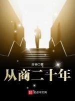 从商二十年小说阅读