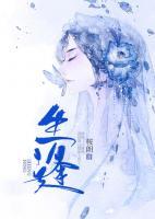 生逢小说阅读