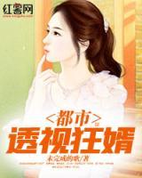 都市狂婿小说阅读