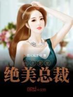 我老婆是绝美总裁小说阅读
