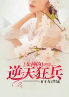 女神的逆天狂兵小说阅读
