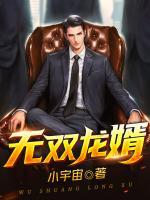 无双龙婿小说阅读