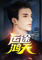 运途鸿天小说阅读