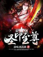 圣印至尊小说阅读