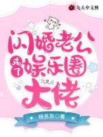 闪婚老公成了娱乐圈大佬小说阅读
