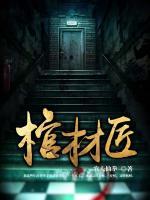 棺材匠小说阅读