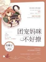 团宠妈咪不好撩小说阅读
