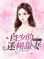 替婚厚爱：白少的迷糊甜妻小说阅读