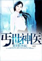 丐世神医小说阅读