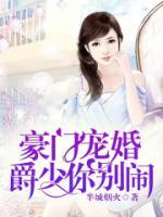 豪门宠婚，爵少你别闹小说阅读