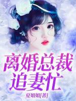 离婚总裁追妻忙小说阅读
