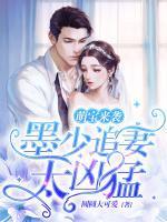萌宝来袭：墨少追妻太凶猛小说阅读