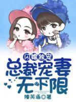 闪婚独宠，总裁宠妻无下限小说阅读