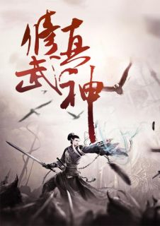 修真武神小说阅读