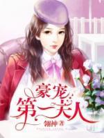 豪宠第一夫人小说阅读