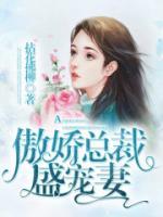 傲娇总裁盛宠妻小说阅读
