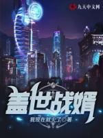盖世战婿小说阅读