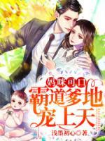 妈咪可口：霸道爹地宠上天小说阅读