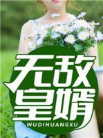 无敌皇婿小说阅读
