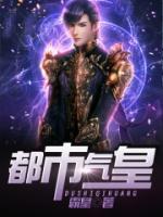 都市气皇小说阅读