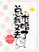 总裁又去求婚了小说阅读