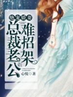 绝宠娇妻：总裁老公难招架小说阅读