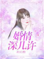 婚情深几许小说阅读