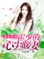 盛爱成婚：霍少的心尖暖妻小说阅读