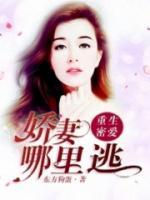 重生蜜爱：娇妻哪里跑小说阅读