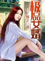极品女婿小说阅读
