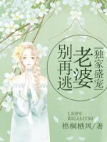独家盛宠：老婆别再逃小说阅读