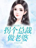 宝宝来了：拐个总裁做老婆小说阅读