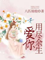 用尽余生爱你小说阅读