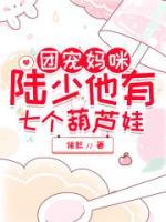 团宠妈咪：陆少他有七个葫芦娃小说阅读
