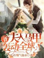 爷，夫人马甲轰动全球了小说阅读