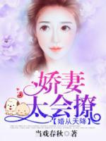 婚从天降：娇妻太会撩小说阅读