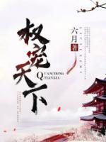 权宠天下小说阅读