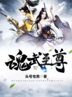 魂武至尊小说阅读