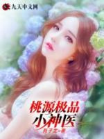 桃源极品小神医小说阅读
