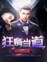 狂婿当道小说阅读