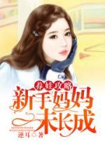 养娃攻略，新手妈妈未长成小说阅读