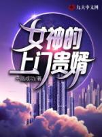 女神的上门贵婿小说阅读