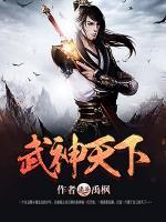 武神天下小说阅读