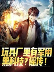 玩具厂里有军用黑科技谣传(林枫)