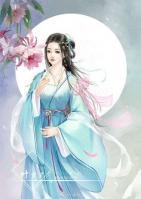 南如月沈决