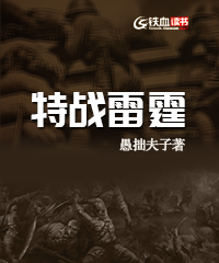 特战雷霆小说阅读