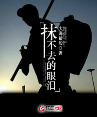 抹不去的眼泪小说阅读