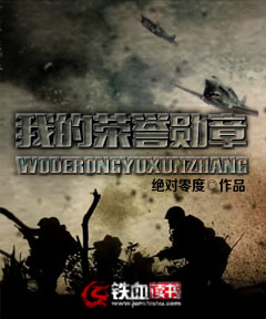 我的荣誉勋章小说阅读